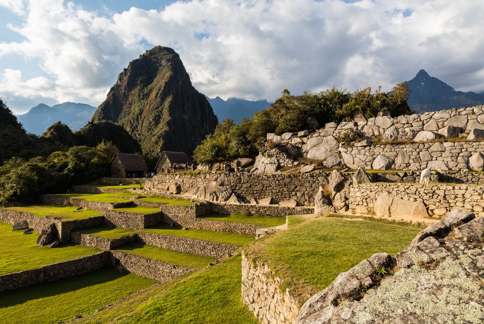 Machu Picchu